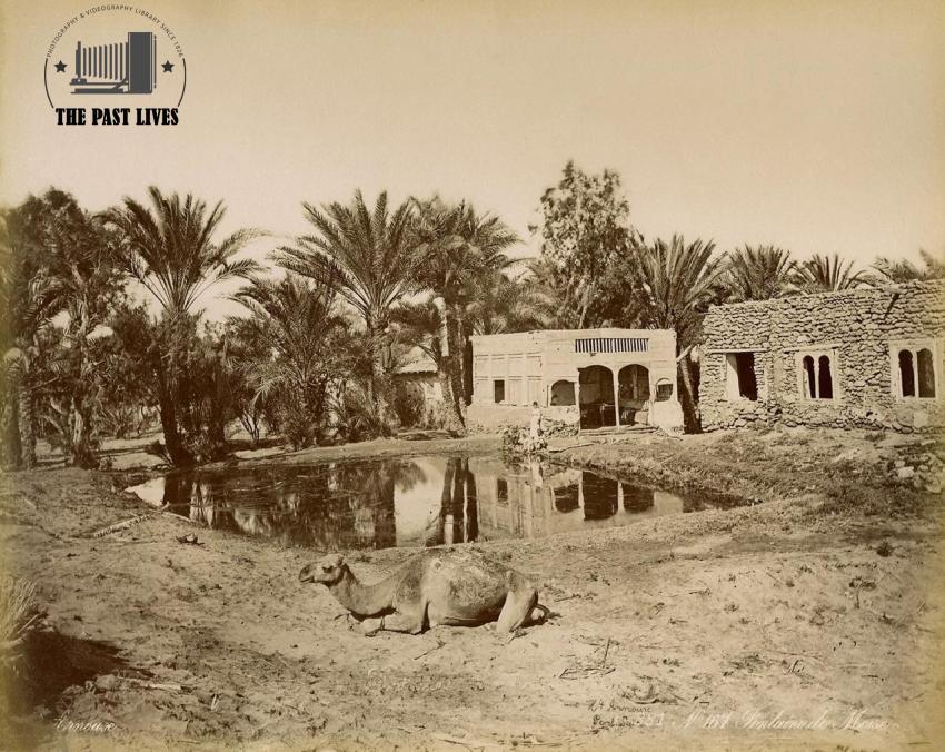 Egypt, Suez , Moses Springs, 1869