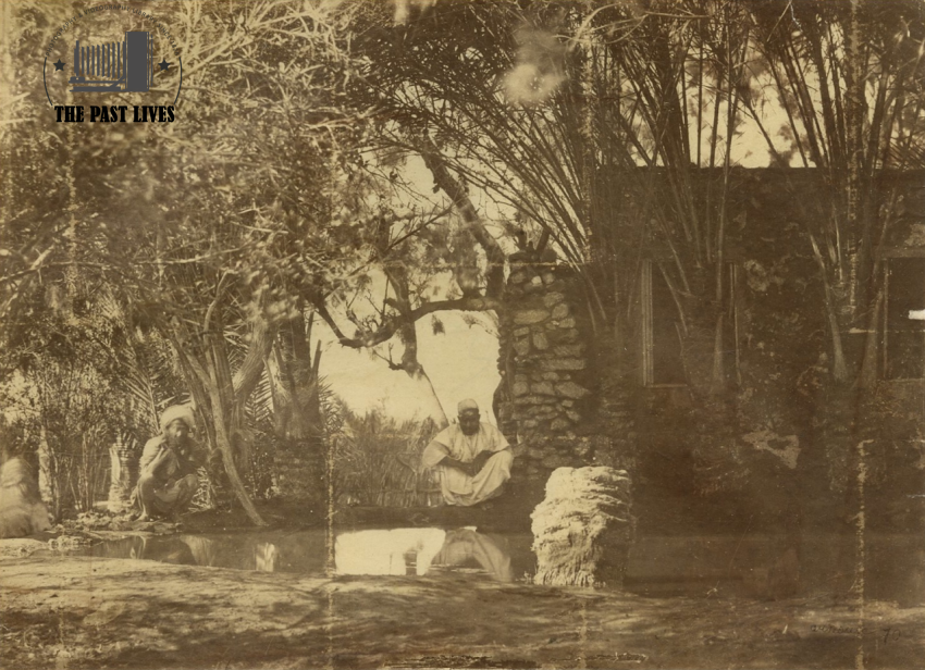 Egypt, Suez , Moses Springs, 1869