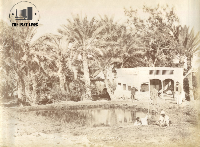 Egypt, Suez , Moses Springs, 1889