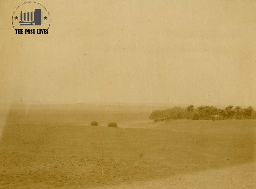 Egypt, Suez , Moses Springs, 1874