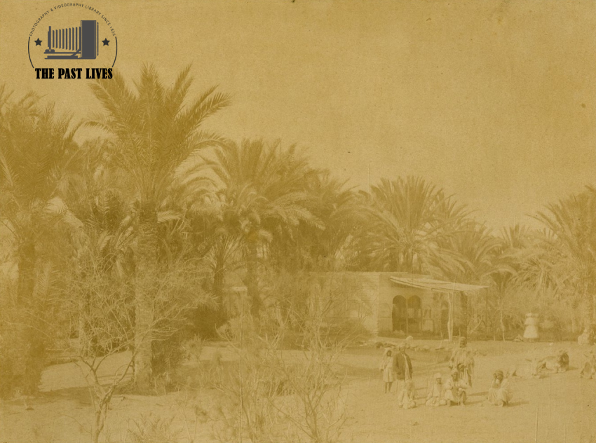 Egypt, Suez , Moses Springs, 1874