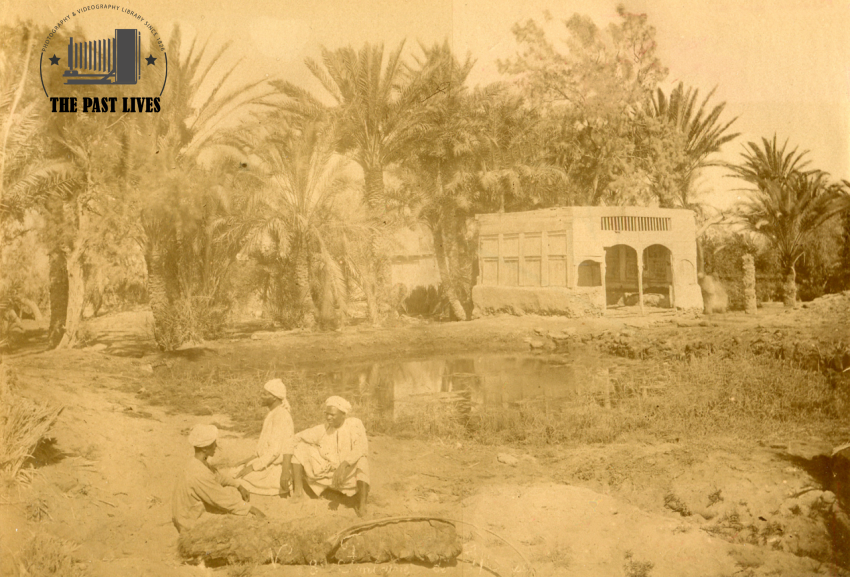 Egypt, Suez , Moses Springs, 1869