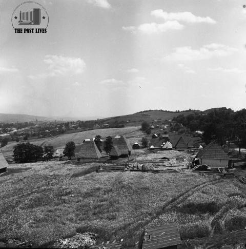 Ethnographic Garden Național Romulus Vuia  Cluj-Napoca,1963