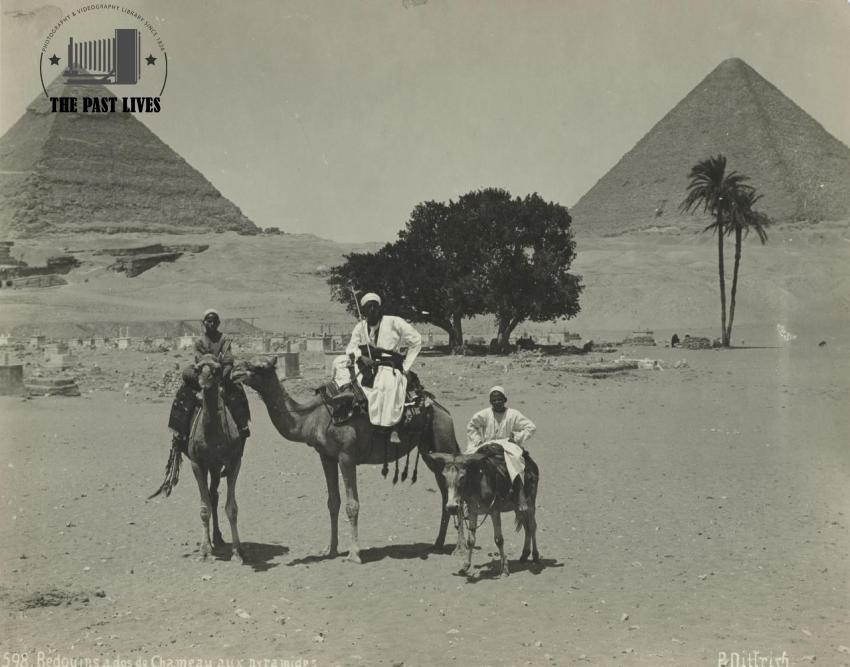 Bedouins on Camels at the Giza Pyramids – Egypt 1896