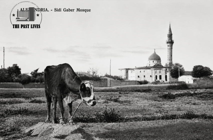 1903 Egypt, Sidi Gaber Mosque in Alexandria