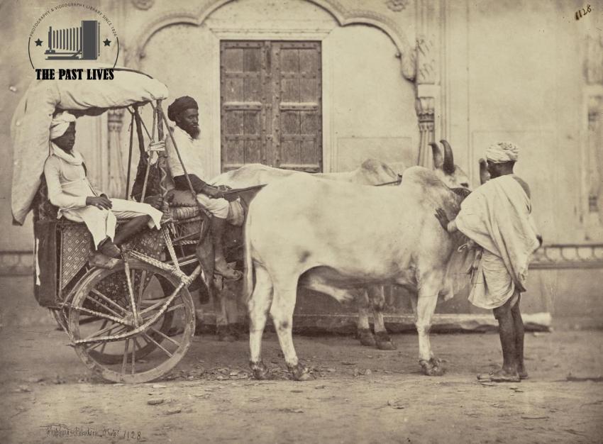 1862 An Indian Carriage and Pair