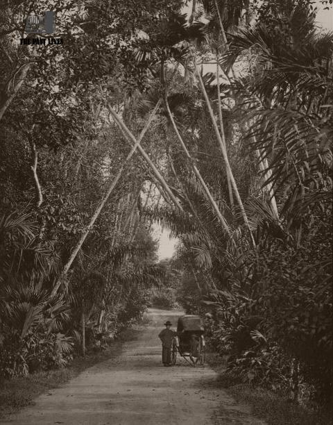 1896 , Singapore  Street in Tanglia